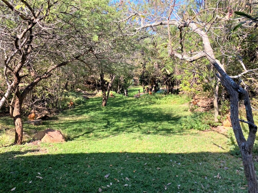 Double Lodge in Natural African Bush - 2112
