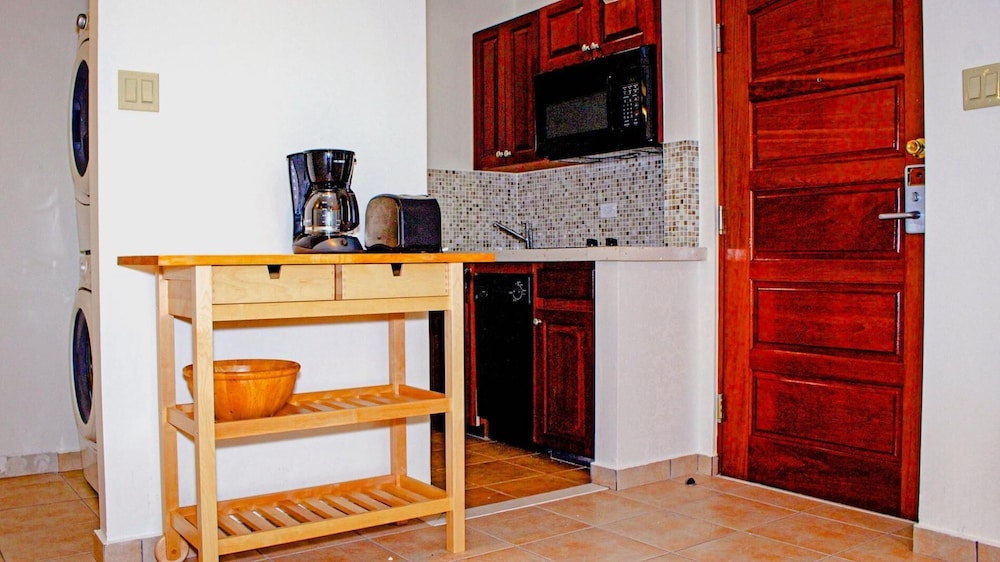 La Palmita view 4