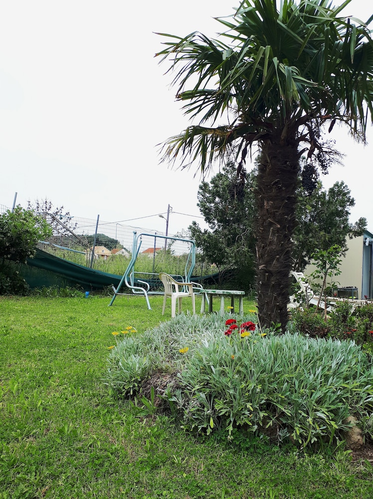 Photo 49