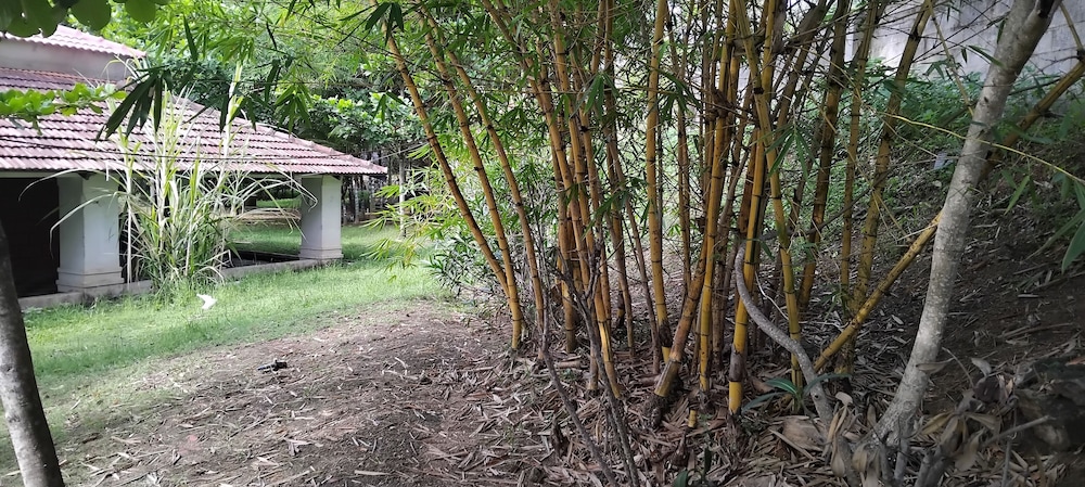 Pavanputra Resort Hassan