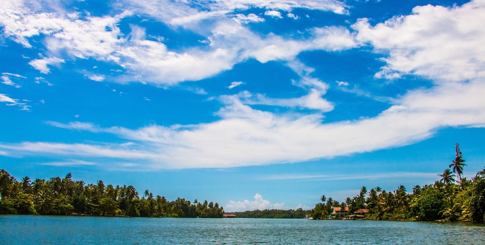 Riverbank Bentota