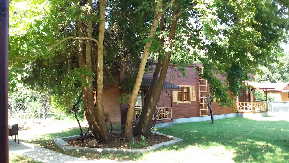 Maji Köyü - Image 38
