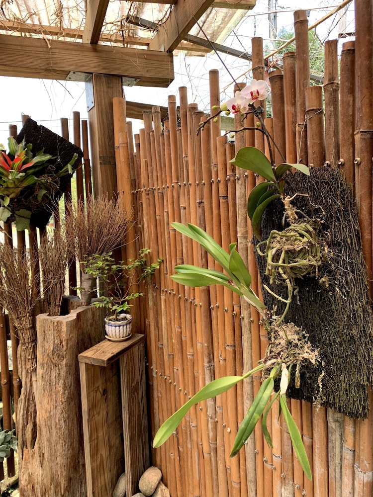 Jia's Homestay view 2