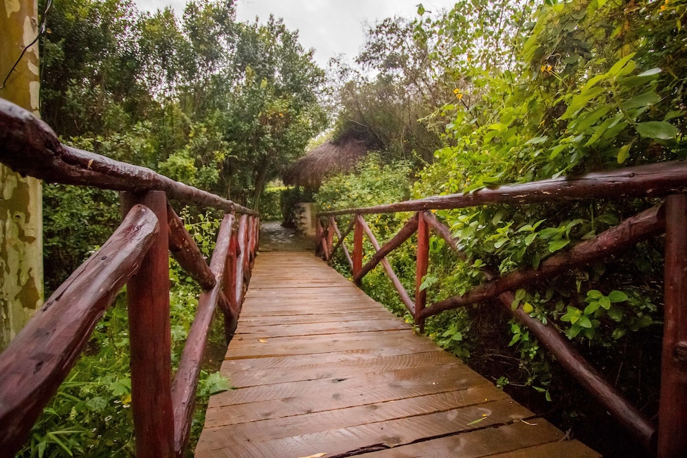 Dove Nest Lodge