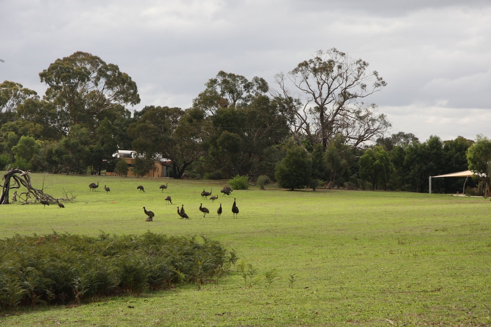 Boroka Downs