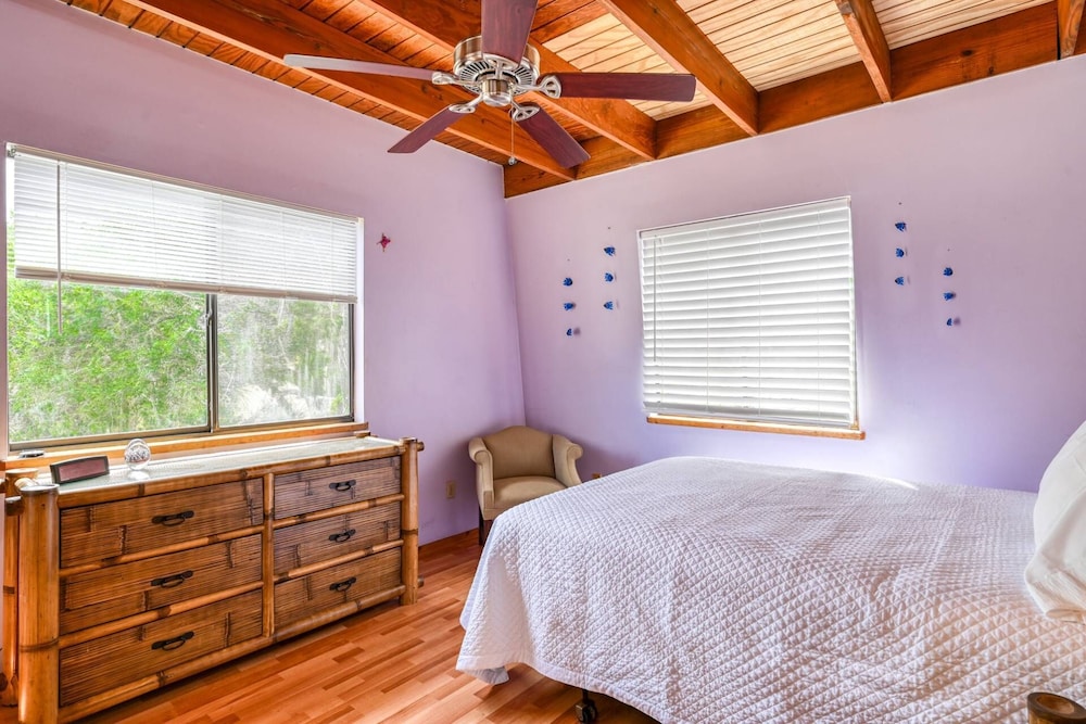 Endless Summer on B Street - Unit B