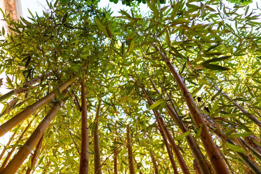 La Tour du Terroir