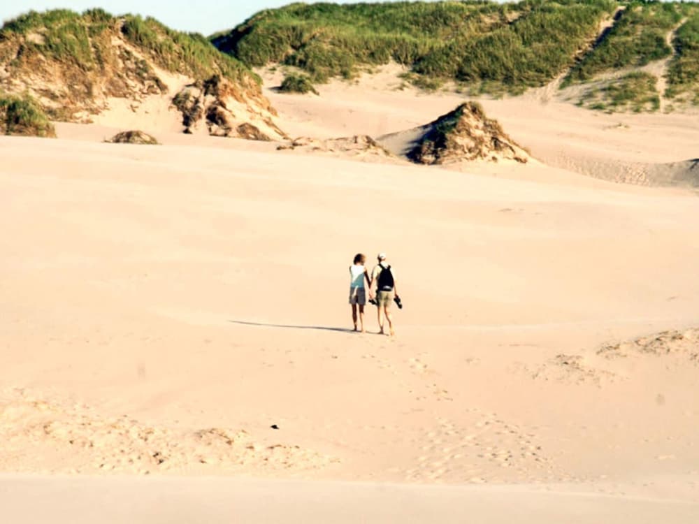 6 Person Holiday Park Home in Skagen