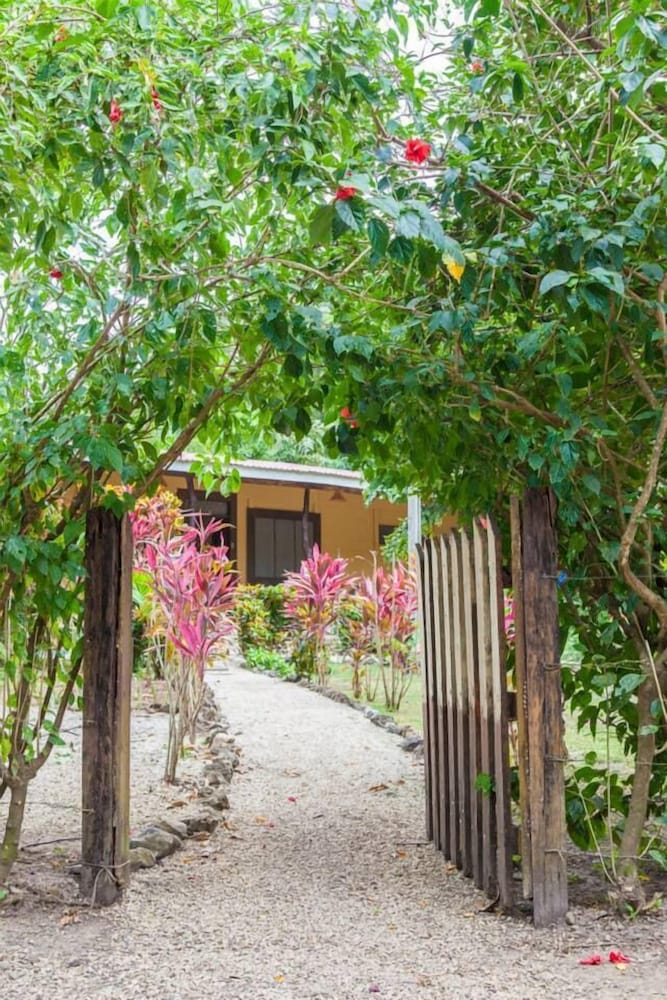 Nosara Beach Hostel