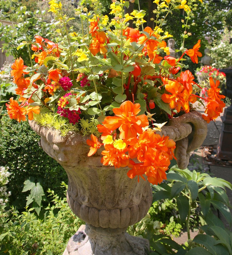 Photo 25
