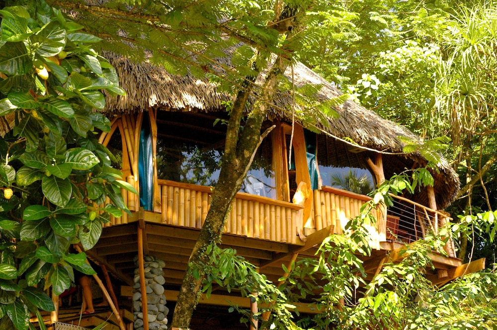 Hotel Vanira Lodge - Image 1