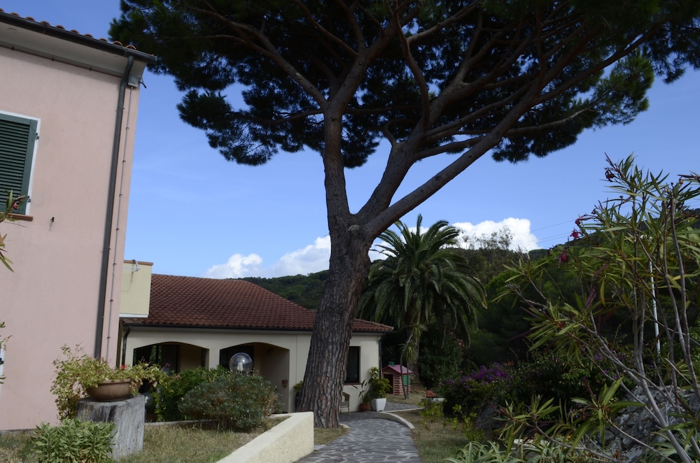 Photo 22