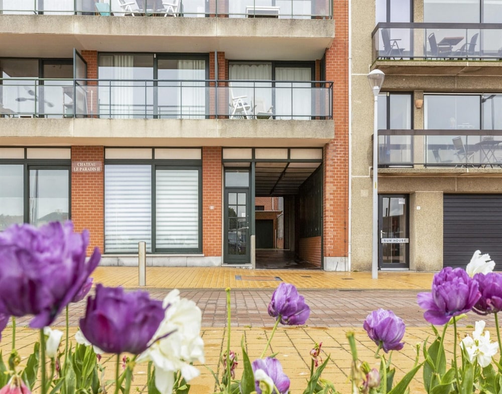 Apartment in Blankenberge With Terrace