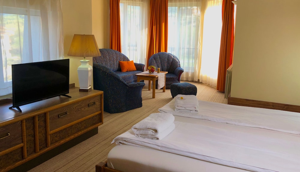 Bansko Vacations - Chateau Vaptzarov Hotel - Property Image 33
