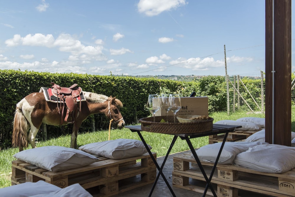 Masseria Ciavolich