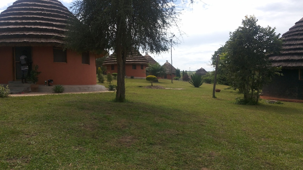 Photo 11