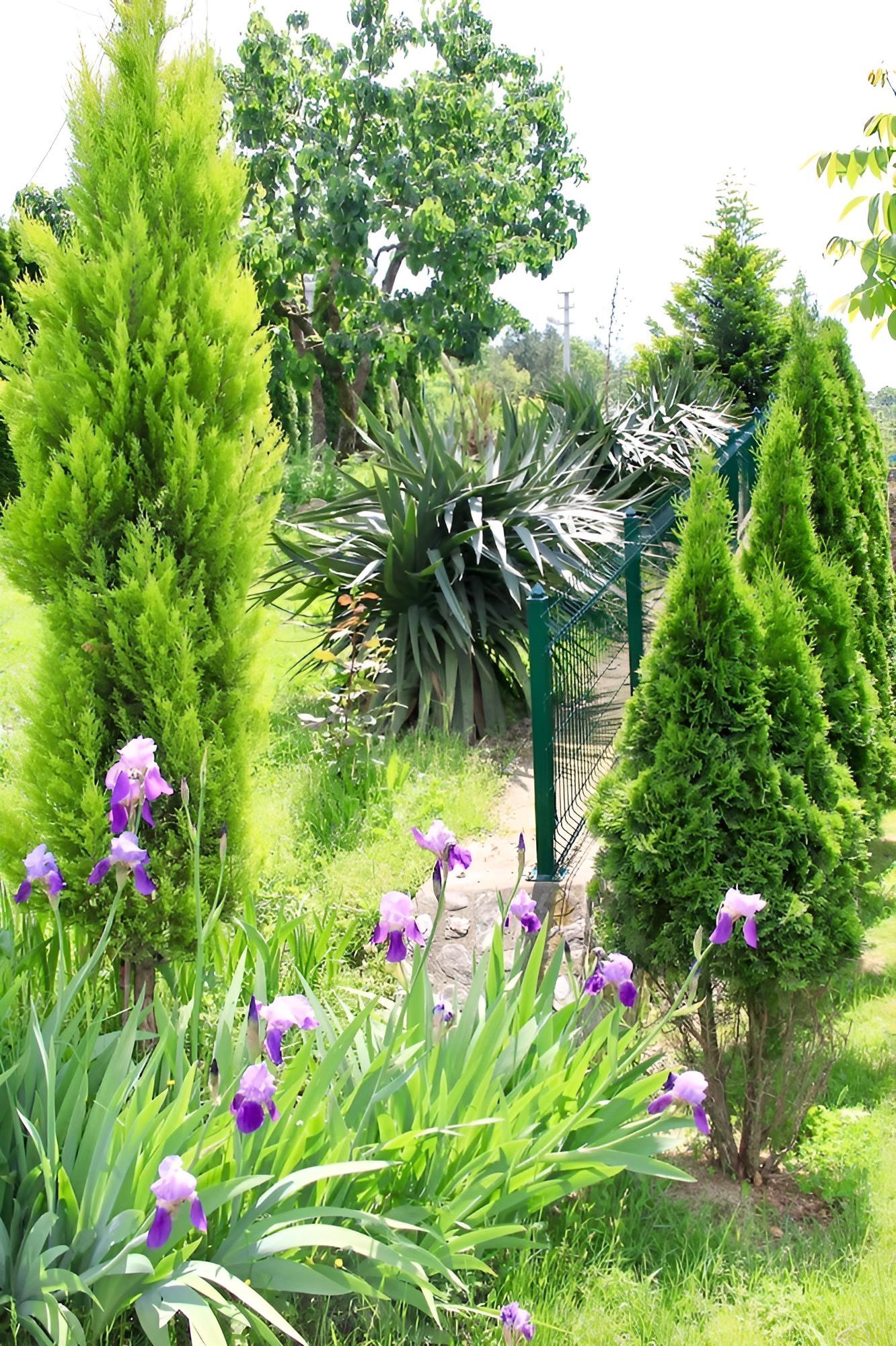 Gungor Garden
