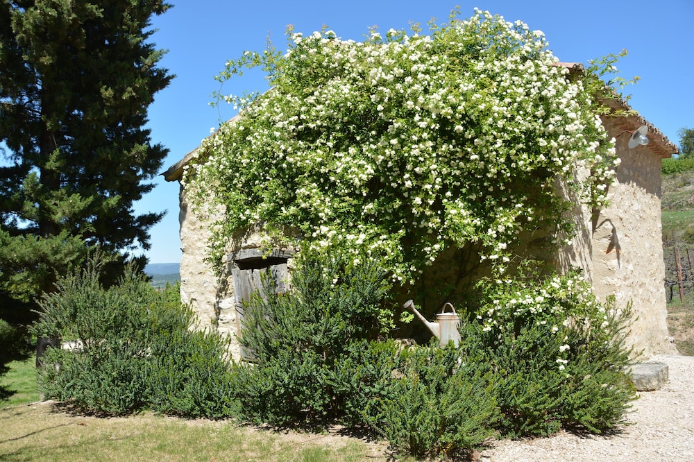 Photo 13