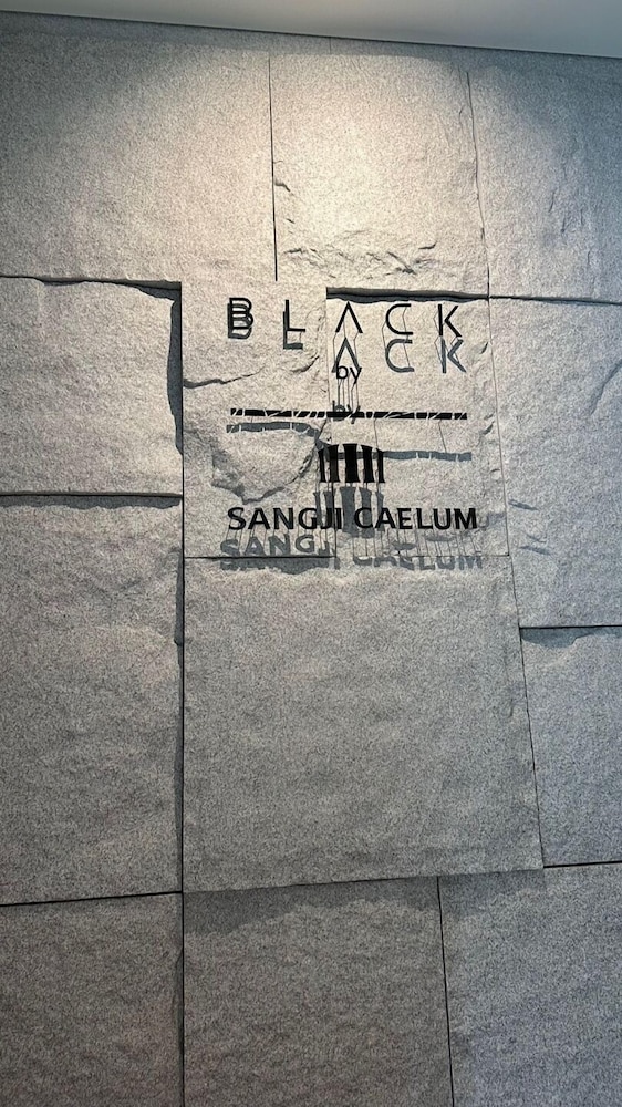 Caelum Black Gangnam Luxury Apt