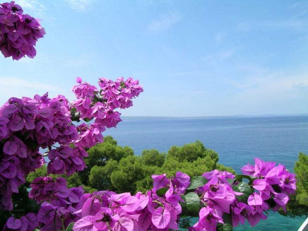 Milica - sea View - A1 view 5