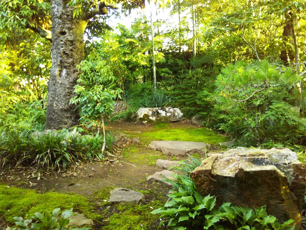 Guesthouse Nashimotoken view 4
