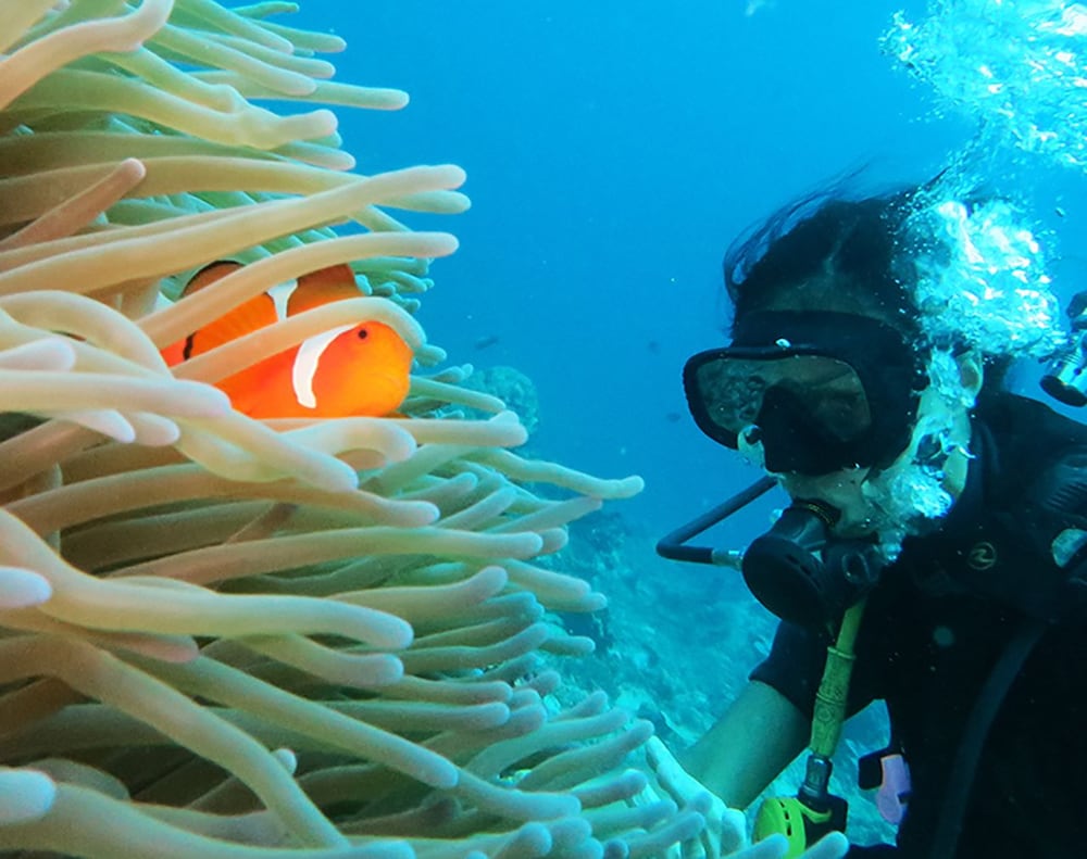 East Lombok Dive Hotel - Hostel