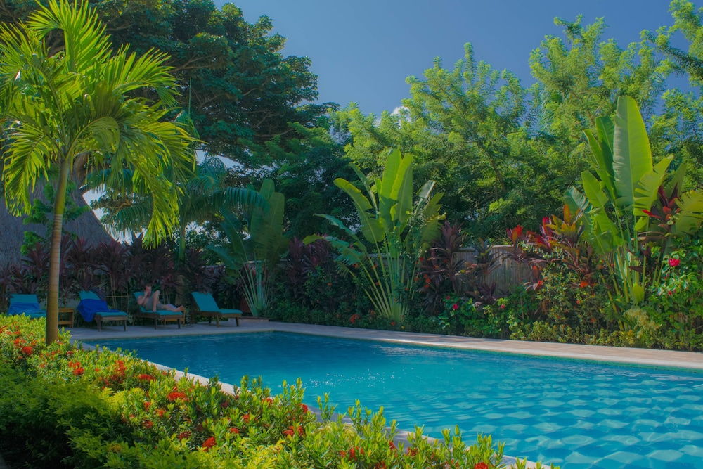 Prima Luna Palomino - Property Image 37