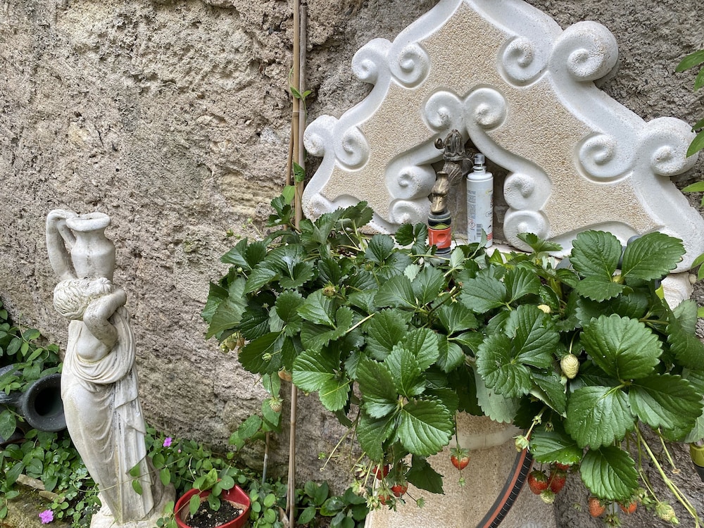 Villa Rosa Béziers, photo 58