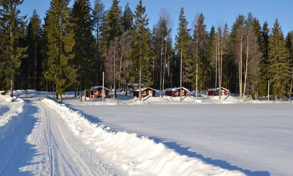 Photo 10