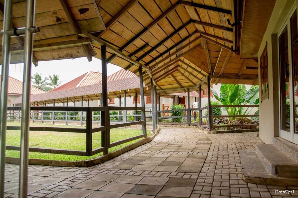Rainforest Hotel