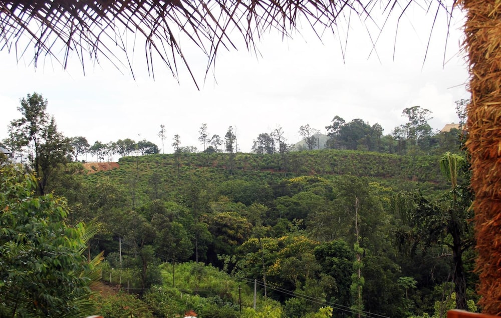 Ella Sisila View