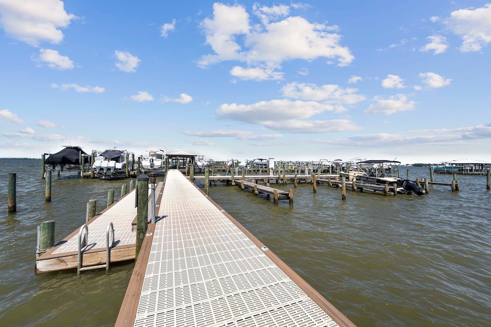 Bayview 59