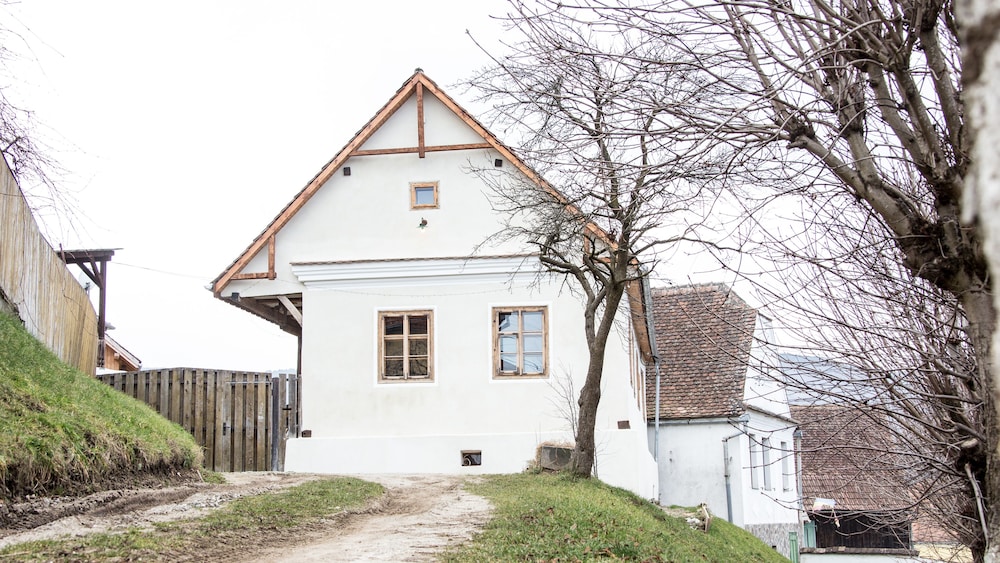 Photo 44