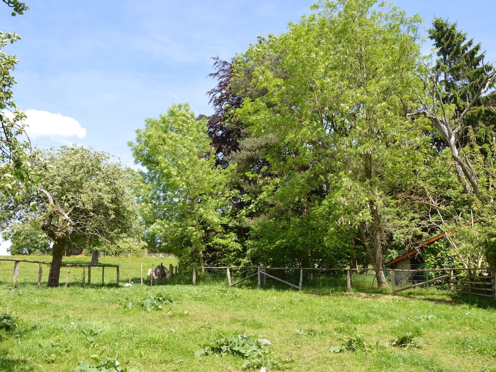 Family Villa in Ferrieres