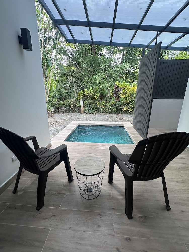 Palmera Azul