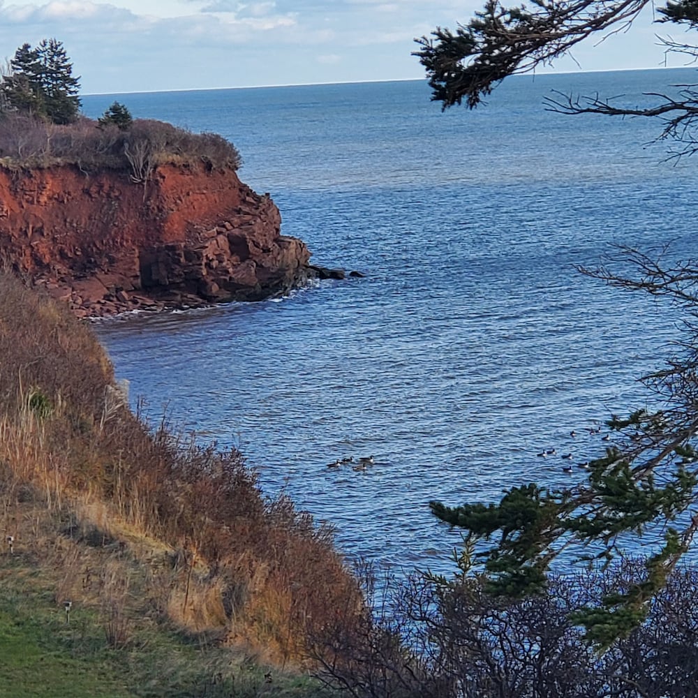 The Cliffside Inn