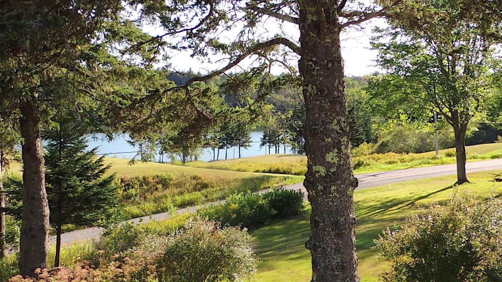 Chandler River Inn view 3