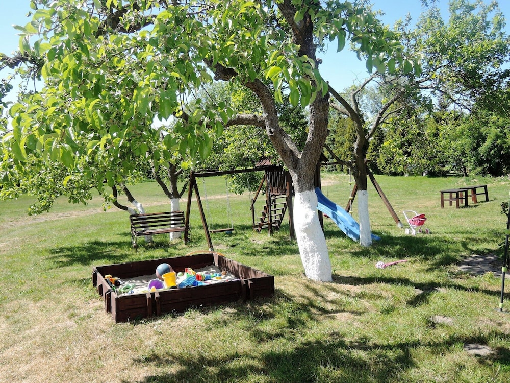 Photo 16
