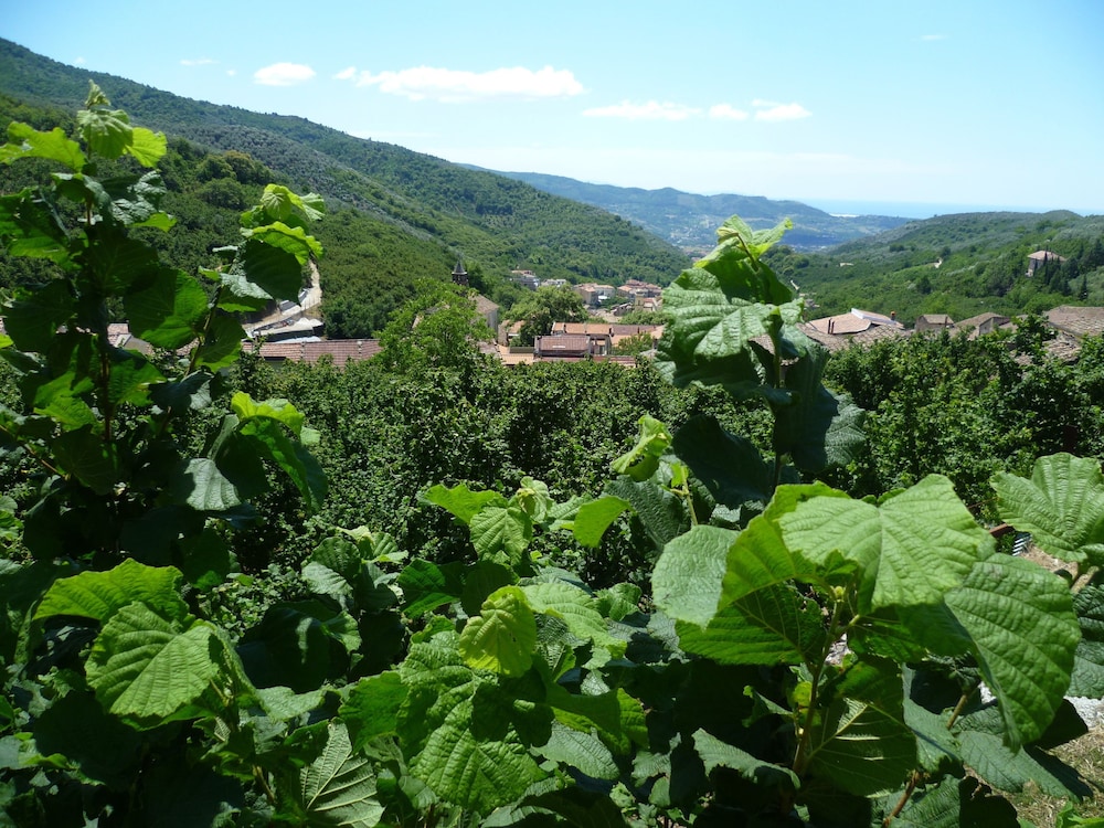 Il Campanile B&B a Sieti - Salerno