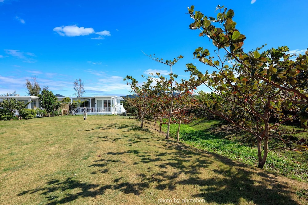 Wild Island B&B