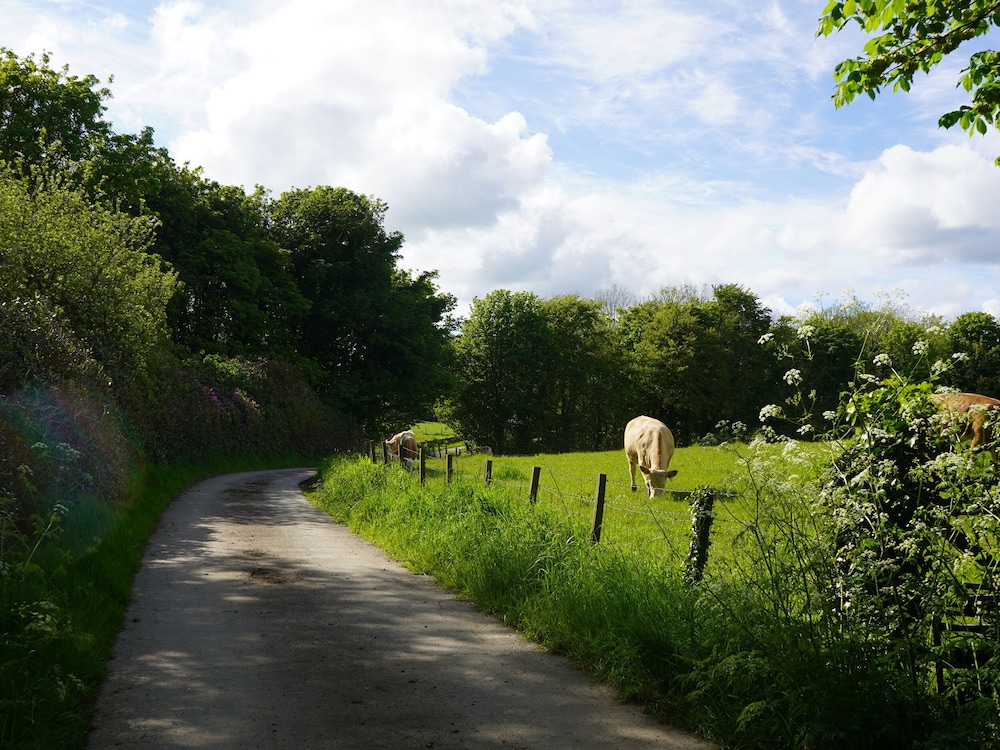 Roe Deer Lodge