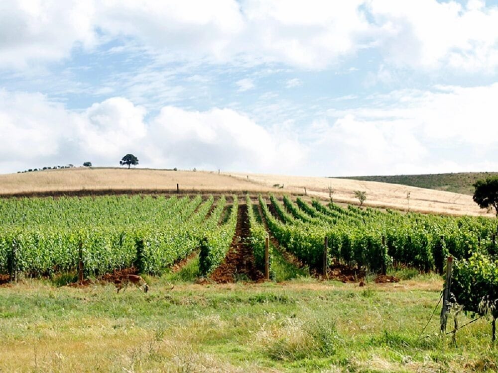 Agriturismo Il Gaggiolo