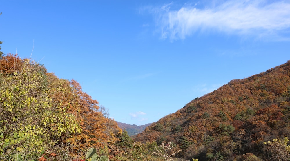 Bandibyeol Pension