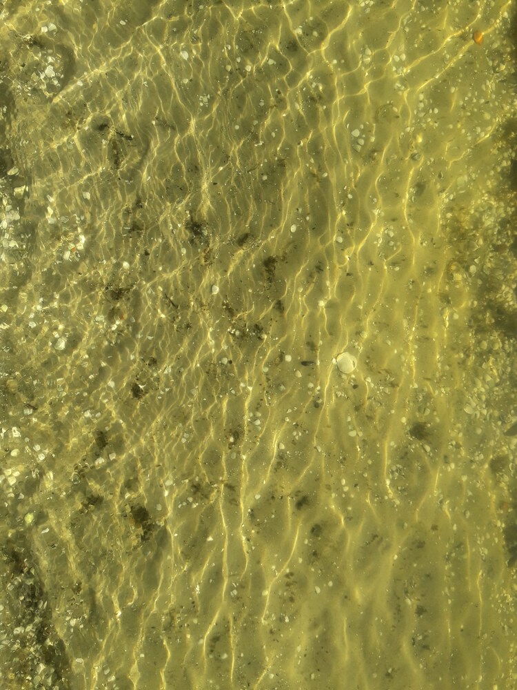 Lagoa Nômade