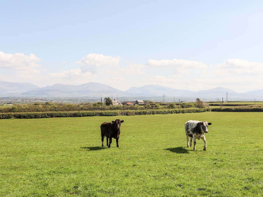 Mynydd Mwyn