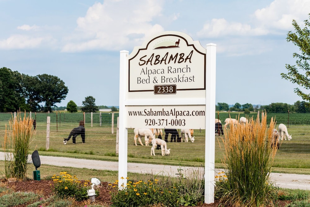 Sabamba Alpaca Ranch
