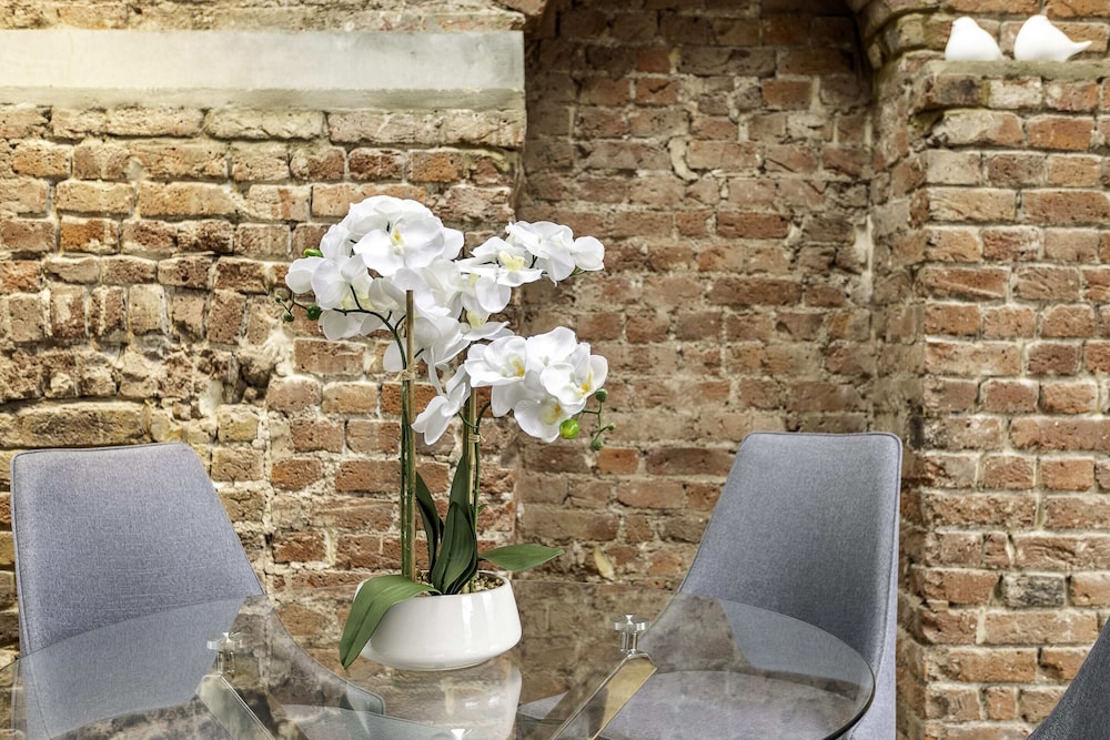 Bright Marylebone Apartment