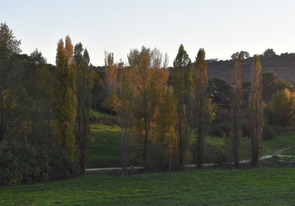 Finca La vega