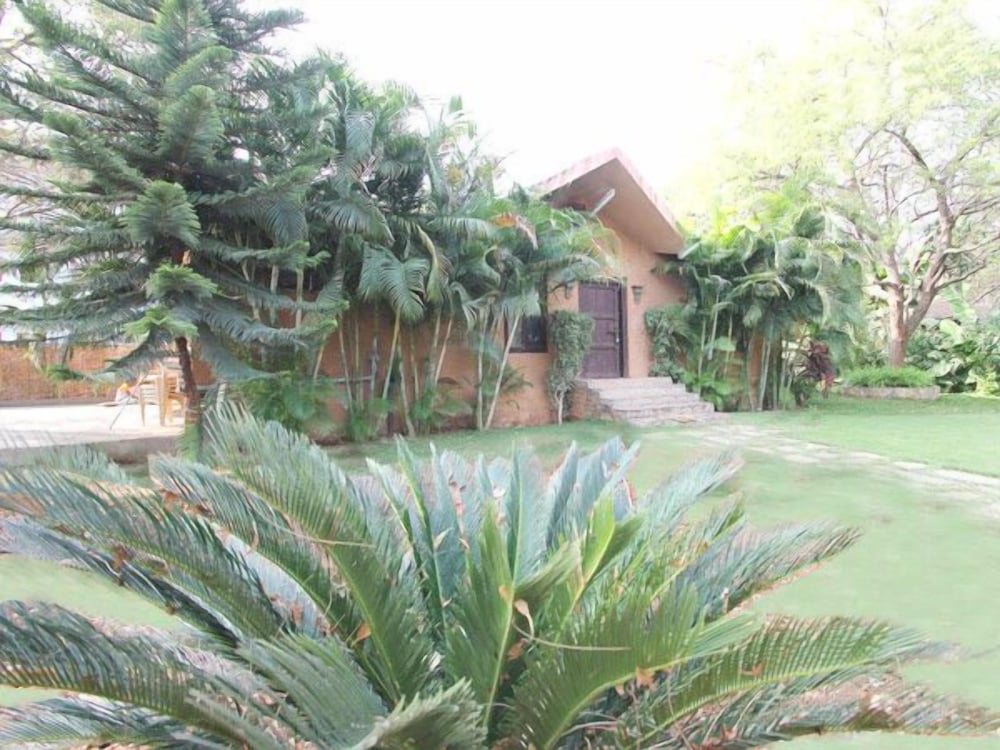 Dream Valley Resort