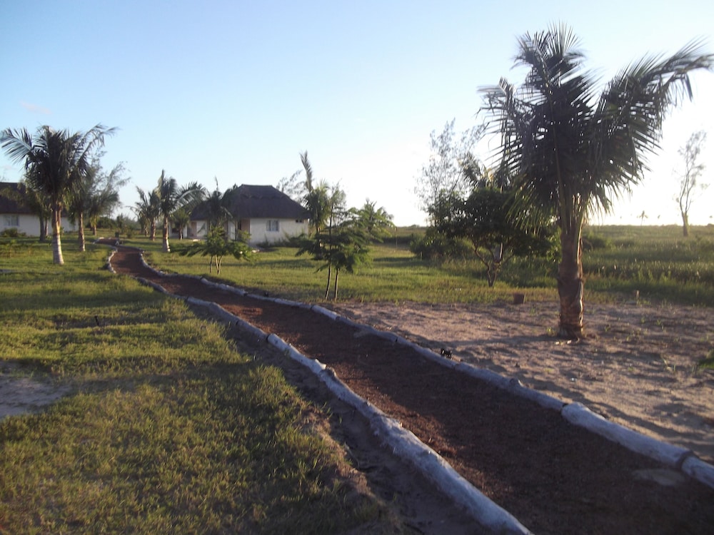 Photo 45